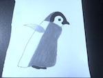 Avatar du membre